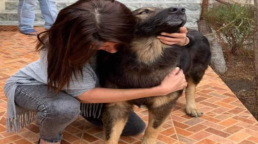 طنجة.. بعد حادثة إنتحار الرجل الفقير “روزا” تحضى بمسكن