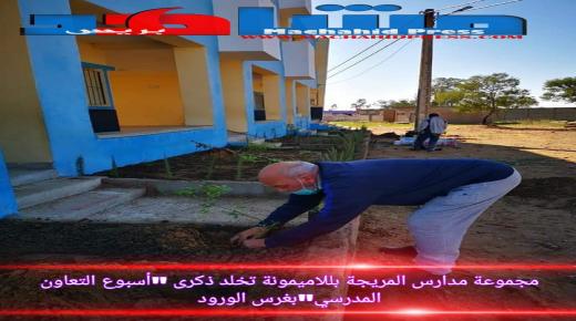 مجموعة مدارس المريجة ملحقة اولاد النفخة بجماعة للاميمونة تخلد “أسبوع التعاون المدسي” بغرس الورود