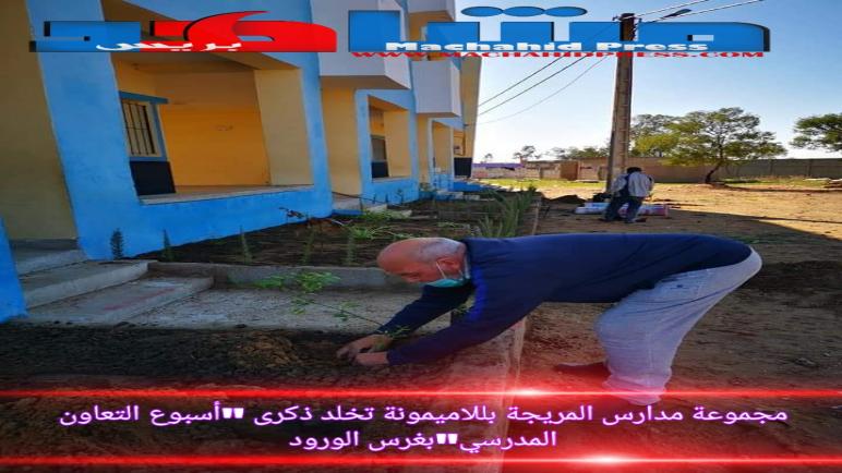 مجموعة مدارس المريجة ملحقة اولاد النفخة بجماعة للاميمونة تخلد “أسبوع التعاون المدسي” بغرس الورود