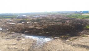 ساكنة حي النقارة أولاد عمران بإقليم سيدي بنور تدق ناقوس الخطر من انتشار الأوبئة