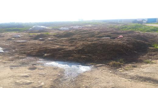 ساكنة حي النقارة أولاد عمران بإقليم سيدي بنور تدق ناقوس الخطر من انتشار الأوبئة