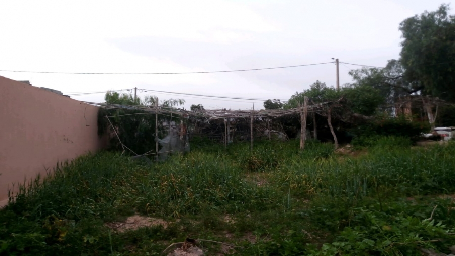 IMG-20210314-WA0104