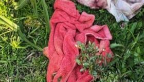 طنجة.. العثور على جثة رضيع مرمية بمنطقة سيدي قاسم