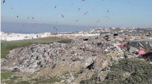 رسميا.. عمدة طنجة يوقع بإغلاق مطرح مغوغة بعد 45 سنة