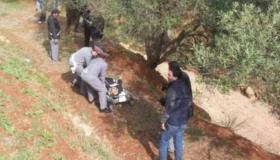 طنجة.. شخص ينهي حياته شنقا بغابة بني سعيد