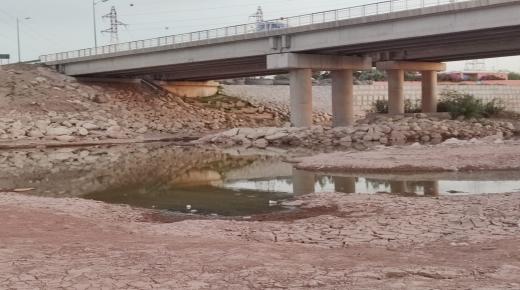 فعاليات جمعوية ملولية تندد بالكارثة البيئية لنهر واد سوس بسبب مخلفات مركز التصفية بالدراركة