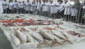 طانطان : بالأرقام انتعاش سوق الجملة بميناء الطنطان في الأسبوع الأول من شهر رمضان.