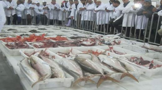 طانطان : بالأرقام انتعاش سوق الجملة بميناء الطنطان في الأسبوع الأول من شهر رمضان.