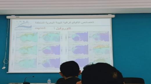 دراسة حول الثروة السمكية القاعية بسواحل العرائش والجبهة