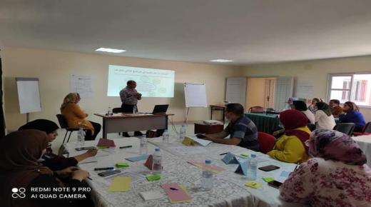 تنظيم دورة تكوينية لأطر الصحة والنسيج الجمعوي المهتم بصحة الأم والطفل تتعلق بنظام الوسطاء الجمعاتيين