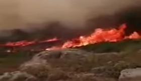 السلطات بالمنطقة تسيطر على حريق بغابات شفشاون