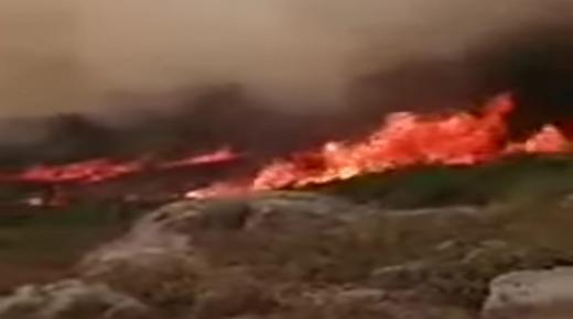 السلطات بالمنطقة تسيطر على حريق بغابات شفشاون