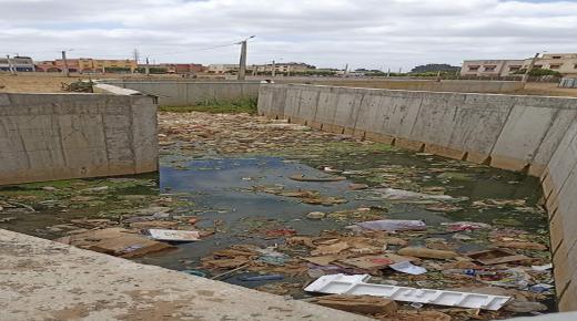 سكان مجموعة المسيرة حي هند بسوق الاربعاء الغرب يوجهون رسالة الى عامل الإقليم من أجل رفع الضرر