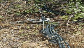 خدمات متردية لإدارة الكهرباء بايت باها بإقليم اشتوكة والنمودج من دوار افلا اكيسل جماعة تنالت