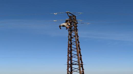 مؤلم: مختل عقليا يقدم على الانتحار عبر تسلقه عمود كهربائي ضواحي الزمامرة..