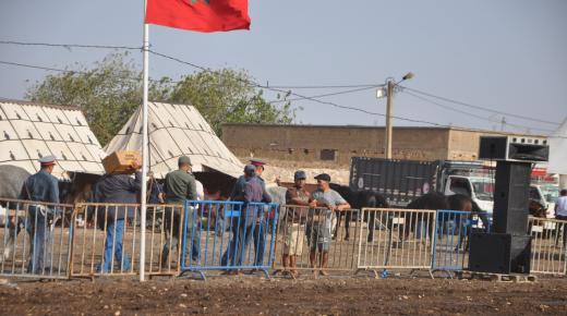 مهرجان الفرس الذهبي لفن التبوريدة بجماعة سانية بركيك إقليم سيدي بنور