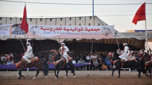الموسم السنوي مولاي عبد السلام الغواص للفروسية بالوليدية إقليم سيدي بنور