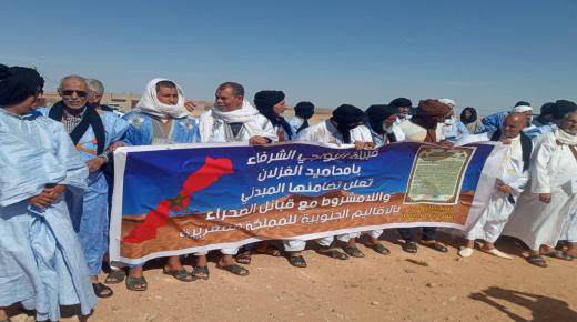 قبائل أيتوسى تنظم وقفة إحتجاجية بجماعة البيرات إقليم أسا الزاك للتنديد ضد تحفيظ أراضيهم