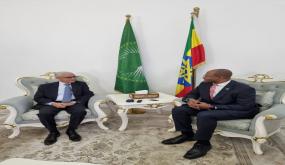 رئيس مجلس النواب يتباحث بأديس أبابا مع نظيره الإثيوبي