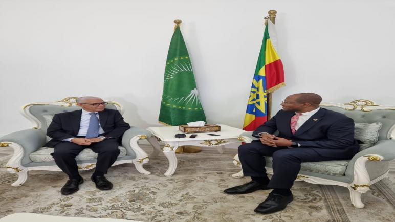 رئيس مجلس النواب يتباحث بأديس أبابا مع نظيره الإثيوبي