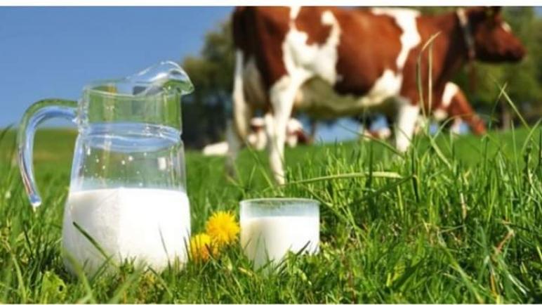 بسبب الأزمة الاقتصادية..حرب “الحليب” تشتد بسوس بين كبار المنتجين