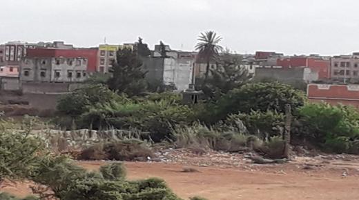 انتشار البناء العشوائي باحياء المزار ايت ملول