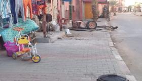 مدينة ݣلميم: أصبح أمرا عاديا أن تشاهد حمار يتجول في شارع مولاي يوسف بتيرت في غياب المسؤولية