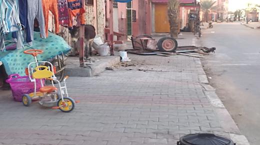 مدينة ݣلميم: أصبح أمرا عاديا أن تشاهد حمار يتجول في شارع مولاي يوسف بتيرت في غياب المسؤولية