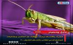 الجراد يكتسح مزارع منطقة فم الحصن وجمعيات المجتمع المدني تطالب بالتدخل العاجل….!!!