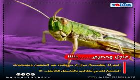 الجراد يكتسح مزارع منطقة فم الحصن وجمعيات المجتمع المدني تطالب بالتدخل العاجل….!!!
