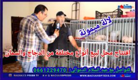 افتتاح محل لبيع أنواع الدجاج والبيض والسمان