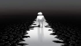 العثور على ج…..ثه شاب معلقة بحبل داخل غرفته بسطات