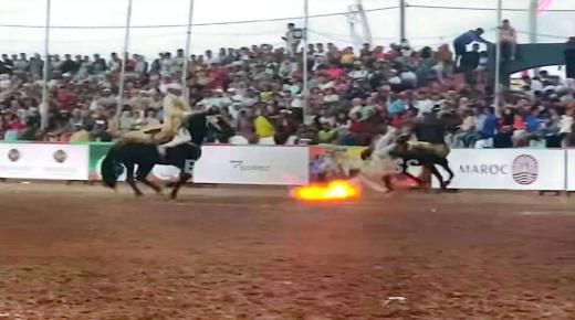 وفاة فارس بعد سقوطه بمحرك مولاي عبد الله أمغار إقليم الجديدة