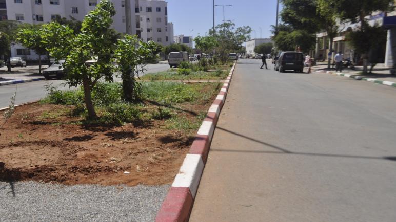 أرباب مقاهي جماعة الشلالات عمالة إقليم المحمدية رياض الشلالات في بادرة حسنة في ظل غياب المصالح الجماعية