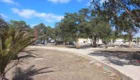 جريمة بيئية في الزمامرة