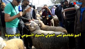 أجي نكتاشفو ثمن الحولي بالسوق الاسبوعي لالة ميمونة