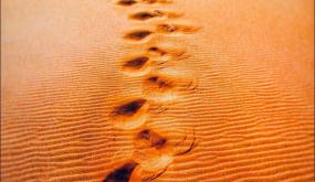 بوجدور: العثور على جث_ة سيدة داخل منزلها والشرطة تحقق في ملابسات الوف…اة