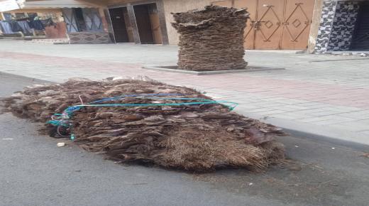 سقوط نخلة يعرقل حركة المرور بشارع محمد سميحه في سطات.. والجهات المعنية تتجاهل إزالة الحطام