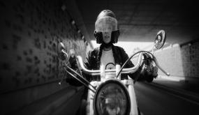 فيلم راضية.. عرض ما قبل أول وافتتاح للعروض الجماهيرية