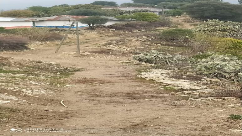 العزلة في قلب التنمية.. مسلك مدشر بورخة نموذجاً لمعاناة سكان جماعة تطفت