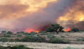 حريق مهول يلتهم الغطاء الغابوي بين شفشاون والداردارة وألسنة اللهب تقترب من المنازل