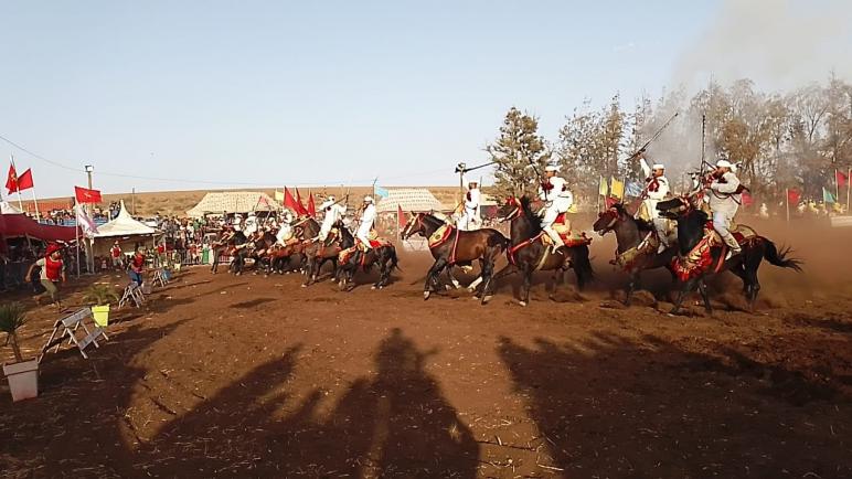 مهرجان التبوريدة أولاد شبانة.. لوحة تراثية تعانق المجد والأصالة