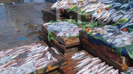 الدشيرة الجهادية :بيع السمك في ظروف غير صحية.. صحة المواطن في مهب الإهمال