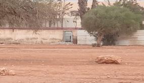 أزرو :كولتي بين… شركة فوق القانون؟