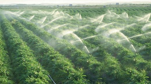 استمرار معاناة الفلاحين بضواحي القصر الكبير بسبب انقطاع مياه الري رغم التوجيهات الملكية