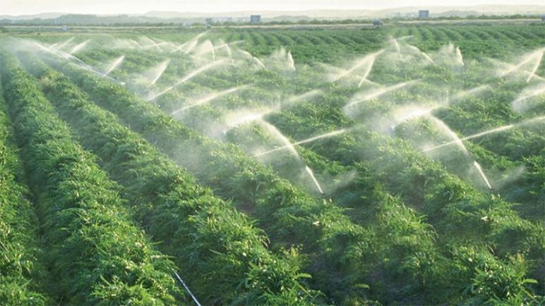 استمرار معاناة الفلاحين بضواحي القصر الكبير بسبب انقطاع مياه الري رغم التوجيهات الملكية