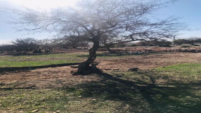 ساكنة منطقة تضورين بجماعة سميمو عمالة الصويرة تشتكي ولا من مجيب