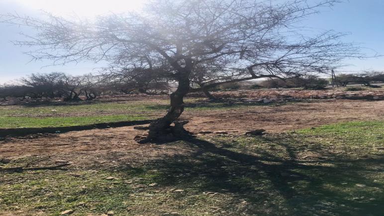 ساكنة منطقة تضورين بجماعة سميمو عمالة الصويرة تشتكي ولا من مجيب