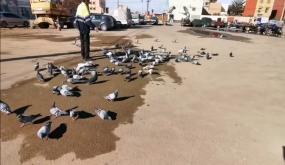 إنسانية صامتة في ساحة سوق التمسية… حكاية رجل يستحق التكريم