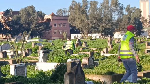 سطات.. حملة تطوعية واسعة تعيد الاعتبار لمقبرة لالة ميمونة وتطهرها من الأعشاب ومظاهر الشعوذة